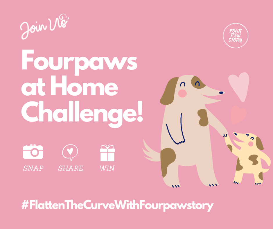 Flatten the curve with Fourpawstory